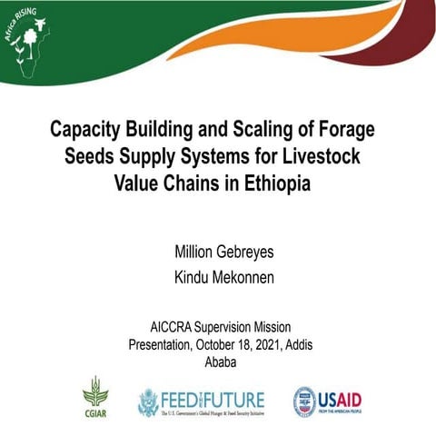 Aiccra supervision 2021