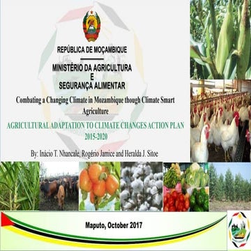 National Plan for Adaptation and Mitigation to Climate Change in the Agricult...