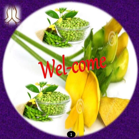 Hybrid seed production of pigeonpea 