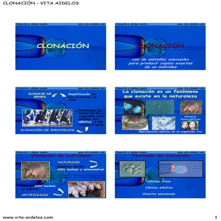 Clonación - VITAIDELOS