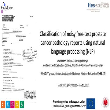 Classification of noisy free-text prostate cancer pathology reports using nat...