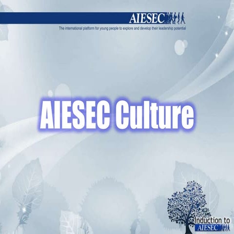 Aiesec culture