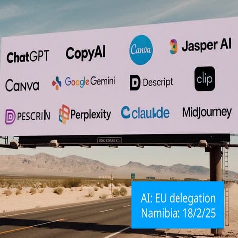 AI TOOLS: EU delegation to NAMIBIA: 18 February 2025