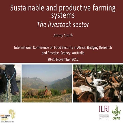 Sustainable and productive farming systems: The livestock sector 