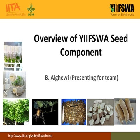 Overview of YIIFSWA seed component