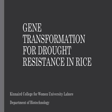 Gene transformation for drought resistance in rice