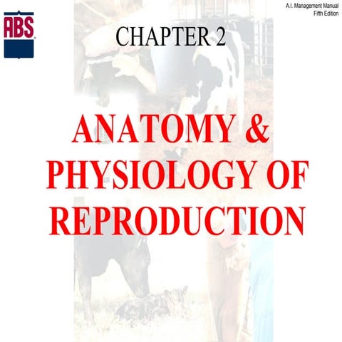 Ai manual chapter 02