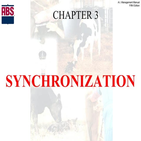 Ai manual chapter 03  sychronization