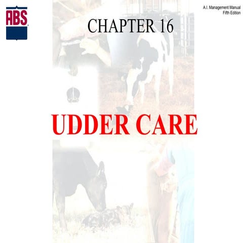 Ai manual chapter 16