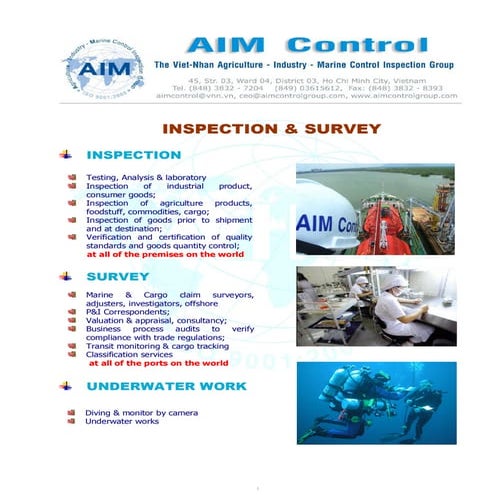 Loading Inspection and Unloading Survey | PDF