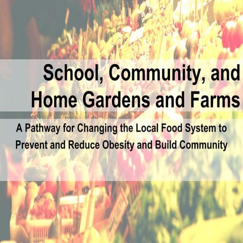 Hunger Issues Forum SCC 2010 - Aimee Reedy