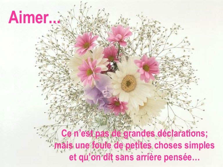 Aimer Aimer
