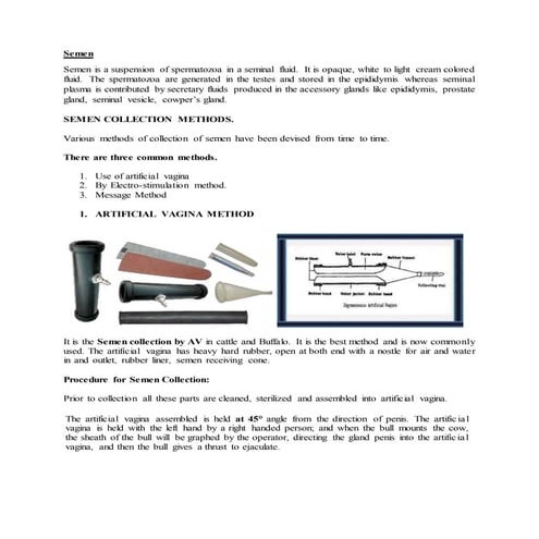 Image showcasing Andrology lecture 16 Semen collection from male animals and its evaluation | PDF