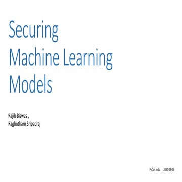 AI model security and robustness