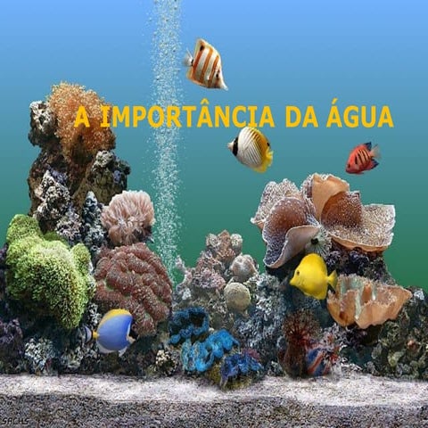 A importancia da água
