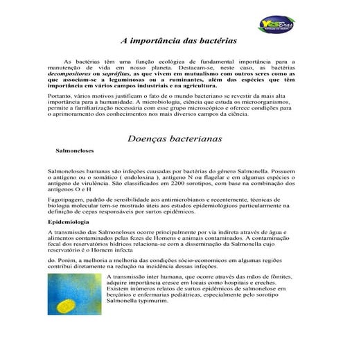 A importancia das bacterias | DOC