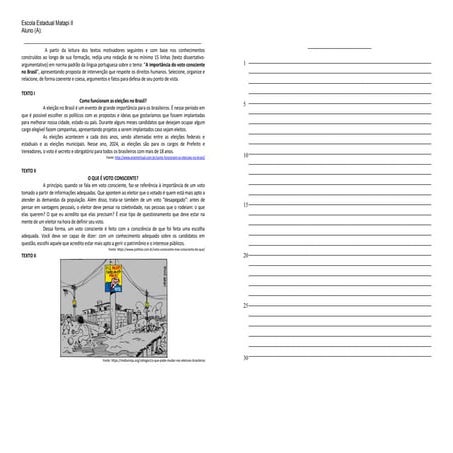 A Importância Do Voto Consciente No Brasil Pdf Elections Politics