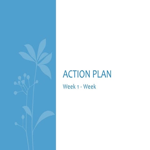 Action Plan