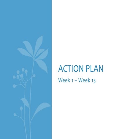 Action Plan