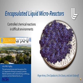 Encapsulated Liquid Micro-Reactors ...