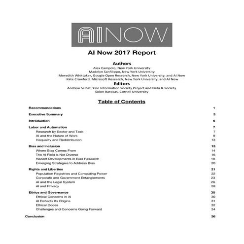  Ai Now institute 2017 report