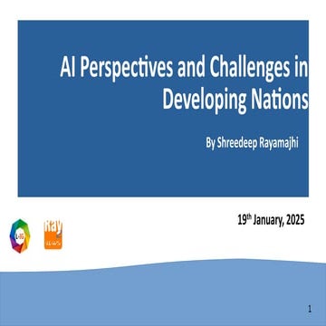 AI Perspectives and Challenges in Developing Nations