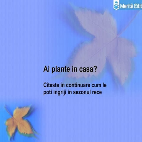 Ai plante in casa?