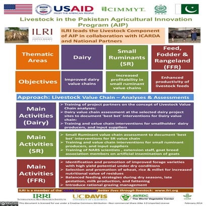Livestock in the Pakistan Agricultural Innovation Program (AIP)