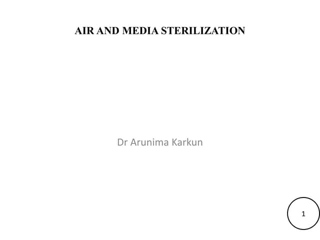 Air and media sterilisation