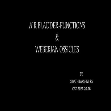 AIR BLADDER-FUNCTIONS.pptx