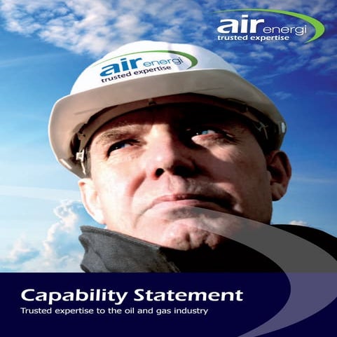 Mining & Minerals Brochure | PDF