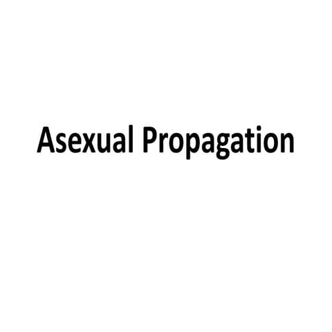 Air layering - asexual propagation