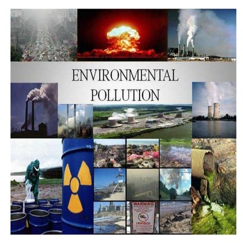 pollution and waste management | PPTX