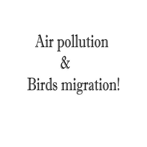 Air pollution and Bird's migeration by zainab amjad