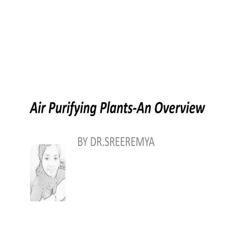 Air purifying plants