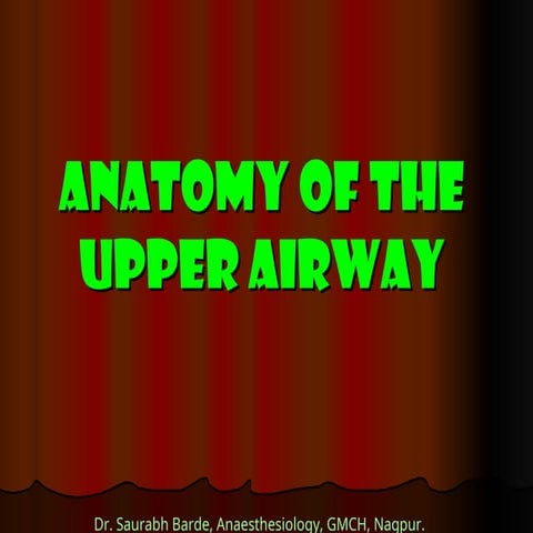 anatomy of the upper airway.ppt