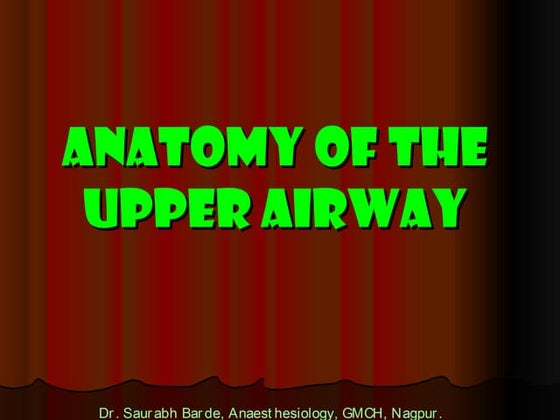 Anatomy of the lower respiratory tract | PPTX