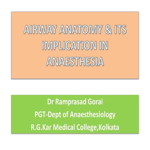 Airway anatomy 