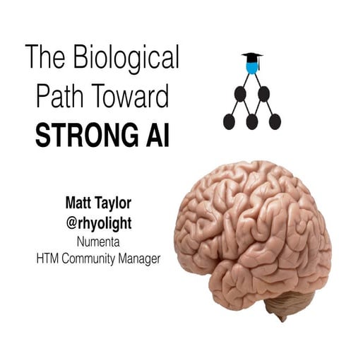 The Biological Path Toward Strong AI by Matt Taylor (05/17/18)