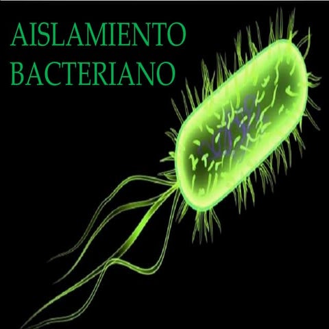 Aislamiento Bacteriano