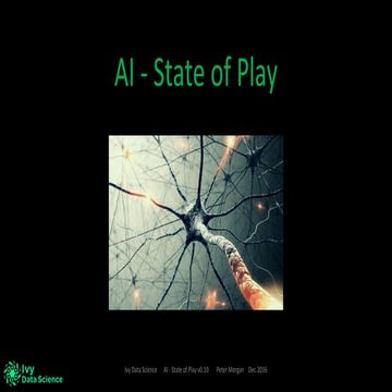 AI State of Play Dec 2016 NYC