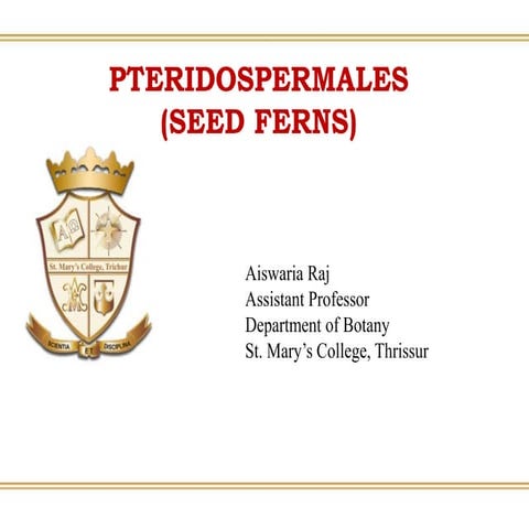 Botany:Pteridospermales  (Seed Ferns)