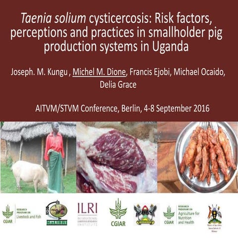 Taenia solium cysticercosis: Risk factors, perceptions and practices in small...