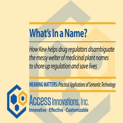 Ai webinar 2 -what's in a name (consolidated pdf)