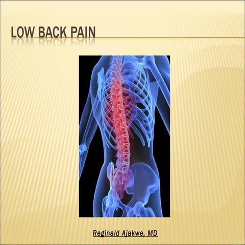 Lower Back Pain - Part 2