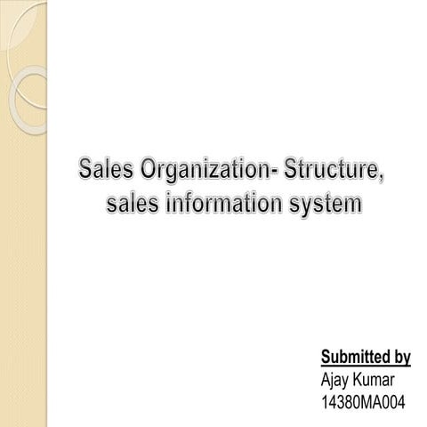 sales information system
