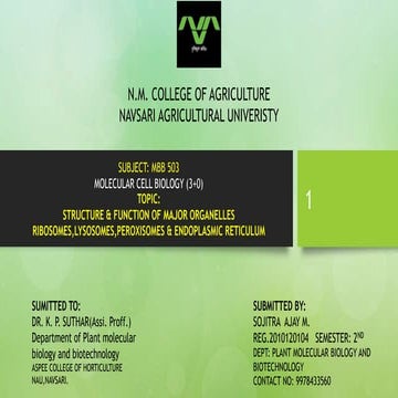 STRUCTURE & FUNCTION OF MAJOR ORGANELLES RIBOSOMES,LYSOSOMES,PEROXISOMES & ENDOPLASMIC RETICULUM