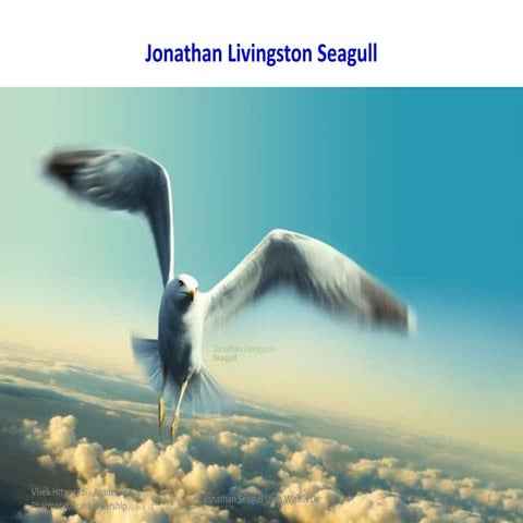 A Jonathan Livingston Seagull Lives Within Us