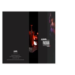 Ajnara Group Review Panorama Brochure