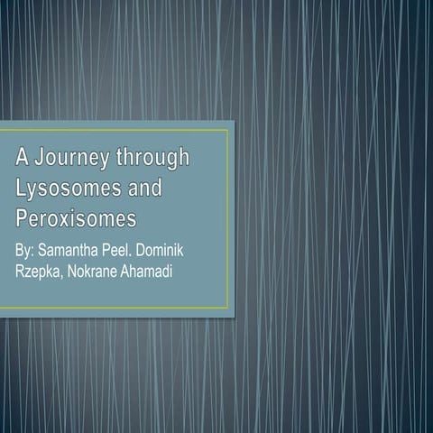 A journey into lysosomes and peroxisomes